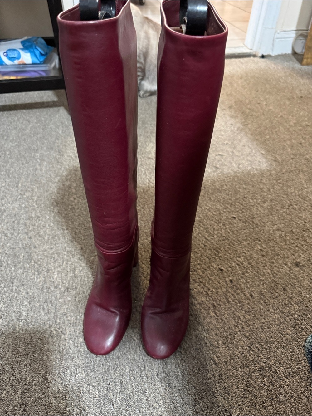 Tory Burch Tall Leather Riding Boots in Wine